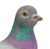 1 x RAW Customer Returns Vivid arts- British birds- Realistic resin dove ornament - RRP €37.99