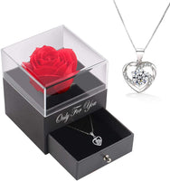 1 x RAW Customer Returns Handmade preserved rose jewelry gift box with sliver necklace for her, gifts for women for Valentine s Day, Mother s Day, anniversary, birthday gift for mother, sister, wife - RRP €26.99