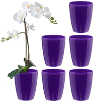 1 x RAW Customer Returns Santino set of 6 orchid pots D 12cm self-watering pot with wick system and water level indicator for indoor use - violet - 1.3L - RRP €35.64