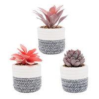 14 x Brand New VIVERIE Artificial Succulents in Plant Pots for Boho Home Decor, Set of 3 - Artificial Plants with Removable Basket for Stationery and Makeup Holder - Boho Room Decor - RRP €352.8