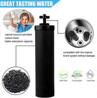 1 x RAW Customer Returns BB-9-2 Water Filter Compatible with Berkeyy Purification Elements, Black Element Cartridge, Premium Water Filter Compatible with Series Travel Big Royal Imperial Crown Light Poweka 2 Pack  - RRP €40.58