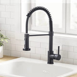 1 x RAW Customer Returns Cesinkin Kitchen Faucet Black Sink Faucet with Two Water Spray Modes Kitchen 360 Swivel High Pressure Kitchen Faucet Stainless Steel - RRP €55.0