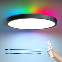 1 x RAW Customer Returns EDISHINE LED ceiling light dimmable, RGB color change, black flat ceiling lamp living room, 24W 4W RGB, with remote control, warm white neutral white cold white, memory function, bedroom children s room - RRP €19.99