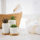 1 x RAW Customer Returns BELLE VOUS White Small Flower Pots for Succulents with Bamboo Tray 3-Pack Small, Medium Large Planter Set with Drainage Holes - for Office, Indoor Table Outdoor Garden - RRP €21.26