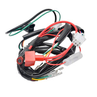 1 x RAW Customer Returns Maso Auto H842857 MASO Complete Electrical Wiring Harness for 50cc 70cc 90cc 110cc 125cc PIT Quad Dirt Bike ATV Dune Buggy - RRP €41.88