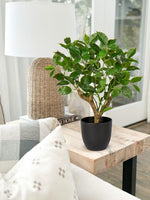 1 x RAW Customer Returns Briful 43 cm artificial plant like real artificial ficus plants in black pot, decorative plant for windowsill, living room, bathroom decoration - RRP €29.23