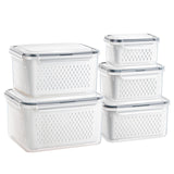 1 x RAW Customer Returns GUWINA food storage containers for fruit and vegetables with lid and strainer, 5-piece plastic refrigerator organizer set, food storage boxes for refrigerator, leak-proof and separable, refrigerator containers  - RRP €34.27