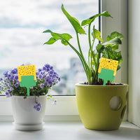 2 x RAW Customer Returns Pack of 120 yellow stickers to combat fungus gnats, premium yellow trap against fungus gnats, yellow panels, fruit fly trap, insecticide-free adhesive trap, fly trap for plants on the balcony or in the garden - RRP €24.14