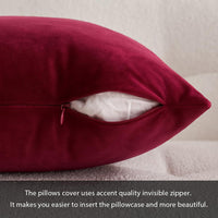 1 x RAW Customer Returns MIULEE Set of 2 Velvet Cushion Covers Cushion Cover Decorative Pillows Pillowcases Sofa Cushions Velvet Cushions Decorative Couch Cushions Covers Decorative Cushions for Sofa Living Room Bedroom 60 x 60 cm Wine Red - RRP €20.49