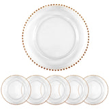 1 x RAW Customer Returns StarLuckINT 6 Pack Plastic Charger Plates with Pearls, Round Plastic Charger Plates 33cm Elegant Decor Dinner Plates for Party Wedding Event Dinner Decoration Rose Gold  - RRP €49.99