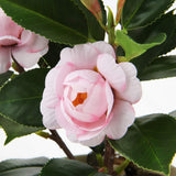 1 x RAW Customer Returns Briful Artificial Houseplant Camellia Artificial Plant Camellia Japonica in Plastic Pot Decorative Silk Flowers Camellia Artificial Flowers for Home Hotel Decoration - RRP €19.15