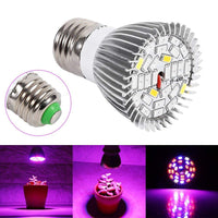 1 x RAW Customer Returns Zerodis LED Grow Light Bulb 5W E27 High Power Panel Full Spectrum LED Greenhouse Hydroponic Vegetable Potted Flower Plant Grow Light Bulb Indoor Growing Lamp - RRP €10.6