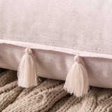 1 x Brand New MIULEE Set of 2 Velvet Cushion Covers Tassel Cushion Cover Decorative Sofa Cushion Tassel Decorative Cushion Decorative Boho Cushion Covers Couch Cushion Hidden Zip for Bedroom Pink 45 x 45 cm - RRP €18.14