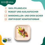 21 x Brand New ECO SOUL 100 compostable 15 cm square palm leaf plates 25 pieces Premium palm leaf tableware Robust, disposable plates like bamboo Square organic disposable plates - RRP €232.89