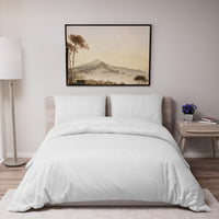 1 x RAW Customer Returns Dreamzie - Bedding set 200x220 cm with 2 pillowcases 80x80 cm white - Duvet cover 200x220 adults made of 100 microfiber - Certified without chemicals Oeko TEX  - RRP €22.99