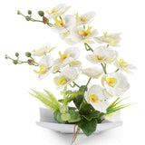 1 x RAW Customer Returns RERXN Decorative Real Touch Fake Orchid Bonsai Artificial Flowers with Imitation Porcelain Flower Pots Phalaenopsis Flowers Arrangements for Home Decoration White  - RRP €30.24