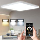 1 x RAW Customer Returns Eregou 24W LED Ceiling Light Dimmable, App Smart Ceiling Lamp LED Panel, 2400LM Wifi Light for Bedroom Living Room Office Kitchen, Compatible with Alexa Google Assistant - RRP €29.5