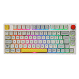 1 x RAW Customer Returns EPOMAKER TH80 PRO ISO UK Hot Swap RGB 2.4Ghz Bluetooth Mechanical Keyboard with PBT Keycaps, Button Control for PC Mac PS4 PS5 Xbox Theory, EPOMAKER Budgerigar Tactile  - RRP €99.99