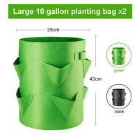 7 x Brand New Homealexa Plant Bag, Plant Bag Plant Bag 40L 10 Gallons with Handles, Durable Breathable Bag Vegetable Grow Bag, Pack of 2 Strawberry 2  - RRP €84.7