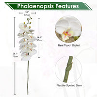 1 x RAW Customer Returns Pack of 4 artificial flower orchid branches, artificial phalenopsis orchid, decorative white flowers, artificial branch decoration, real-touch artificial flowers like real with 9 flowers - RRP €27.22