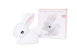 1 x Brand New  D hink DHINK - USB Rechargeable Rabbit Children s LED Night Light - Night Lamp for Baby and Children s Bedrooms with Timer and Color Changing - DHINK376-21 - RRP €30.94