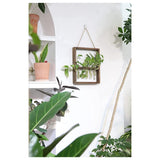 5 x Brand New Erpmlyo Wall Mounted Hanging Plants Test Tube Flower Bud Glass Terrarium Wooden Frame for Home Garden Wedding Decoration - RRP €102.0