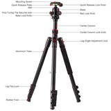 1 x RAW Customer Returns CAMBOFOTO Professional Portable Tripod 169cm Monopod 173cm, 4 Sections with 3 8 Interchangeable 360 Degree Ball Head, Aluminum Tripod with 1 4 Quick Release Plate for Nikon Canon DSLR - RRP €59.99