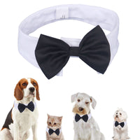 3 x Brand New kgkorgke169 Pet Tie Adjustable Bow Tie for Dogs Formula with Animal - RRP €25.08