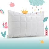 1 x RAW Customer Returns Vitapur Exclusive Pillow 40x60, pack of 2 - Children s pillows for tender dreams - Children s pillows for perfect support - Baby pillow with anti-allergenic cover - RRP €30.24