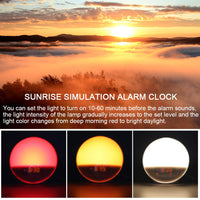 1 x RAW Customer Returns Daylight alarm clock light alarm clock wake up light sunrise sunset simulation alarm clock radio 7 nature sounds 2 alarms snooze 11 color light 20 brightness bedside lamp adults yellow  - RRP €36.99