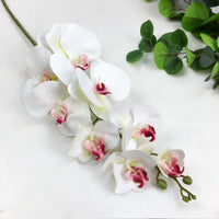 1 x RAW Customer Returns FagusHome 4 pieces artificial Phalaenopsis orchid flowers 105CM artificial orchid flowers stem plants for decoration white pink  - RRP €21.6