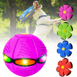 8 x Brand New Pet Toy Flying Ball,Dog Flying Ball,Dog Flying Saucer Ball,Flying Ball,Pet Toy Flying Ball Dog,Pet Toy Flying Ball - RRP €134.4