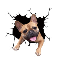 20 x Brand New zhushuGG Dog Car Sticker - Frenchie Bulldog Sticker for Wall 30CM, Refrigerator 3D Sticker, 3D Car Sticker Dog Wall Sticker Funny Decoration Styling Cute Dog Decal C, 11.8 x 11.8 inches  - RRP €120.8