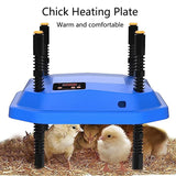 1 x RAW Customer Returns Chick warming plate, chick heating plate, chick warming plate Comfort, 25 x 25 cm I 220V I Warming plate with adjustable height and angle, with temperature controller for all types of poultry such as chickens,  - RRP €43.49