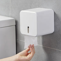 1 x RAW Customer Returns Colist Toilet Paper Holder, Wall Mounted Toilet Paper Holder, Waterproof Dustproof Paper Roll Holder and Dispenser - for Bathroom Toilet White  - RRP €15.31