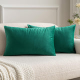 1 x RAW Customer Returns MIULEE Set of 2 VELVET Cushion Covers Pillow Case Decorative Throw Pillows Sofa Cushions Lumbar Cushions Throw Pillow Cover with Hidden Zipper Sofa Bedroom 12x20 Inch 30x50 cm Malachite Green - RRP €13.99