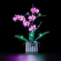 1 x RAW Customer Returns BRIKSMAX 10311 Led Light for Lego Orchid - Compatible with Lego Creator Expert Building Blocks Model - Without Lego Set - RRP €37.99