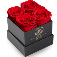 1 x RAW Customer Returns Impouo rose box, infinity roses, preserved rose, eternal rose, birthday gifts for women, gifts for mother girlfriend wife grandma, birthday, Valentine s Day, eternal flower - RRP €29.15