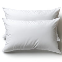 1 x RAW Customer Returns Flowen Pillow 30x50 Pillow Set of 2 Decorative Pillows for Bed and Sofa Inner Cushion Hypoallergenic Sofa Cushions Anti-Mite Soft Decorative Pillows with Pillowcase Microfiber Removable and Machine Washable - RRP €16.45