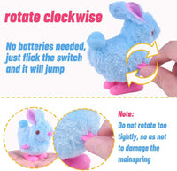 2 x Brand New Niumowa Easter decoration, wind-up toy rabbit, 4 pieces Easter bunny wind-up toy wind up toy wind-up figure plush rabbit bunny Easter gift for children girls and boys - RRP €38.4