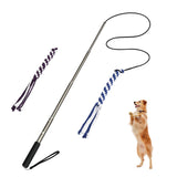 1 x RAW Customer Returns POPETPOP Interactive Dog Toys Dogs Outdoor Fishing Chew Toy with 2 Rope Dog Fishing Pole Pet Teaser for Training Exercise Size L  - RRP €34.31