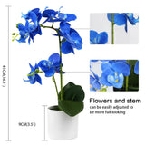 1 x RAW Customer Returns Olrla Blue Orchid Artificial Flowers in White Pot, Fake Real Orchid Flowers Decoration for Kitchen Bathroom Office Wedding Royal Blue 2  - RRP €21.6