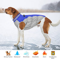 1 x Brand New Dolahovy Winter Dog Jacket Warm Dog Coats Windproof Dog Clothes Soft Fleece Lined Puppy Vest Reflective Dog Jackets for Small Medium Dogs Chihuahua Outdoor - RRP €25.2