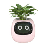 1 x RAW Customer Returns Masdio Smart Flowerpots, with Artificial Intelligence, Time Temperature Display, and Numerous Expressive Animations Based On The Environment, for Interior Decoration Green  - RRP €89.99