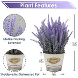 1 x RAW Customer Returns Artificial Lavender Flowers Artificial Plants Artificial Flowers Flocked Plastic Lavender in Galvanized Metal Pot Indoor Outdoor Home Kitchen Office Table Decoration Decor - RRP €22.18