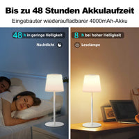 1 x RAW Customer Returns FUNTAPHANTA Glass Rechargeable Wireless Battery Table Lamp, 3000K Dimmable Battery Operated Lamp, Portable Bedside Lamp for Restaurant Bedroom Living Room Nickel  - RRP €39.31