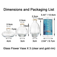 1 x RAW Customer Returns Small vases for table decoration glass - EylKoi 3 pieces set transparent with gold rim mini vase vintage handmade hydroponic glass vase flower vase modern set wedding table decoration, home living room flowers rose - RRP €17.14