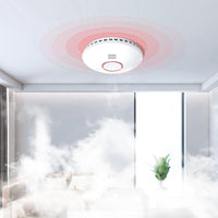 1 x RAW Customer Returns Smoke detector WiFi with magnetic holder, smoke detector networked with app, fire detector, radio smoke detector, battery change EN 14604, 2 pieces - RRP €33.88