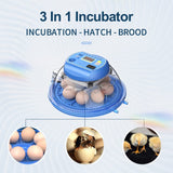 1 x Brand New OUYOLAD Egg Incubator, Automatic Egg Incubator Incubator for Farm Poultry Eggs Incubator for Chicken, Duck, Geese, Pigeon and Quail Eggs 8 Eggs - RRP €34.99