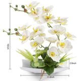 1 x RAW Customer Returns RERXN Decorative Real Touch Fake Orchid Bonsai Artificial Flowers with Imitation Porcelain Flower Pots Phalaenopsis Flowers Arrangements for Home Decoration White  - RRP €30.24